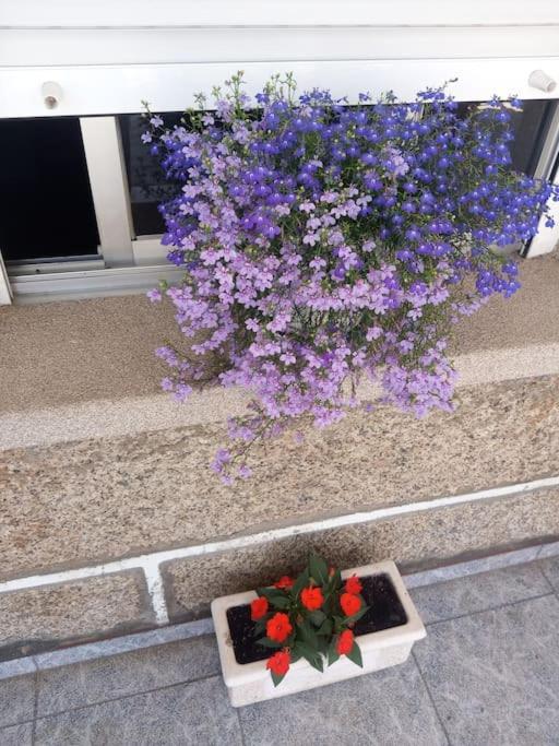 Apartamento en San Vicente de O Grove Buitenkant foto