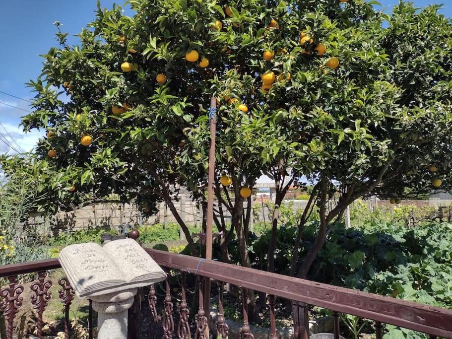 Apartamento en San Vicente de O Grove Buitenkant foto